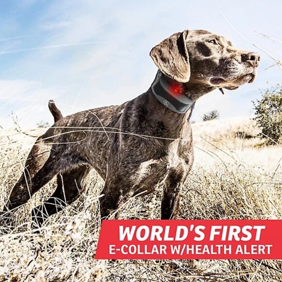 Sport-DOG 1825 FIELD-SENTINEL Remote Dog Trainer 1 Mile Health Monitoring Alerts - Picture 5 of 8